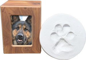 RainbowBridge_memorialpackage2